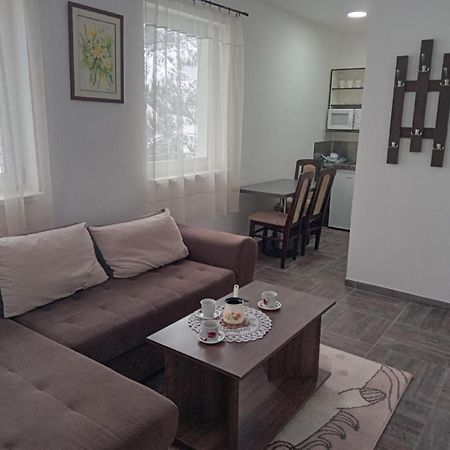 Vila Mozart - Apartments & Studios Kopaonik Esterno foto