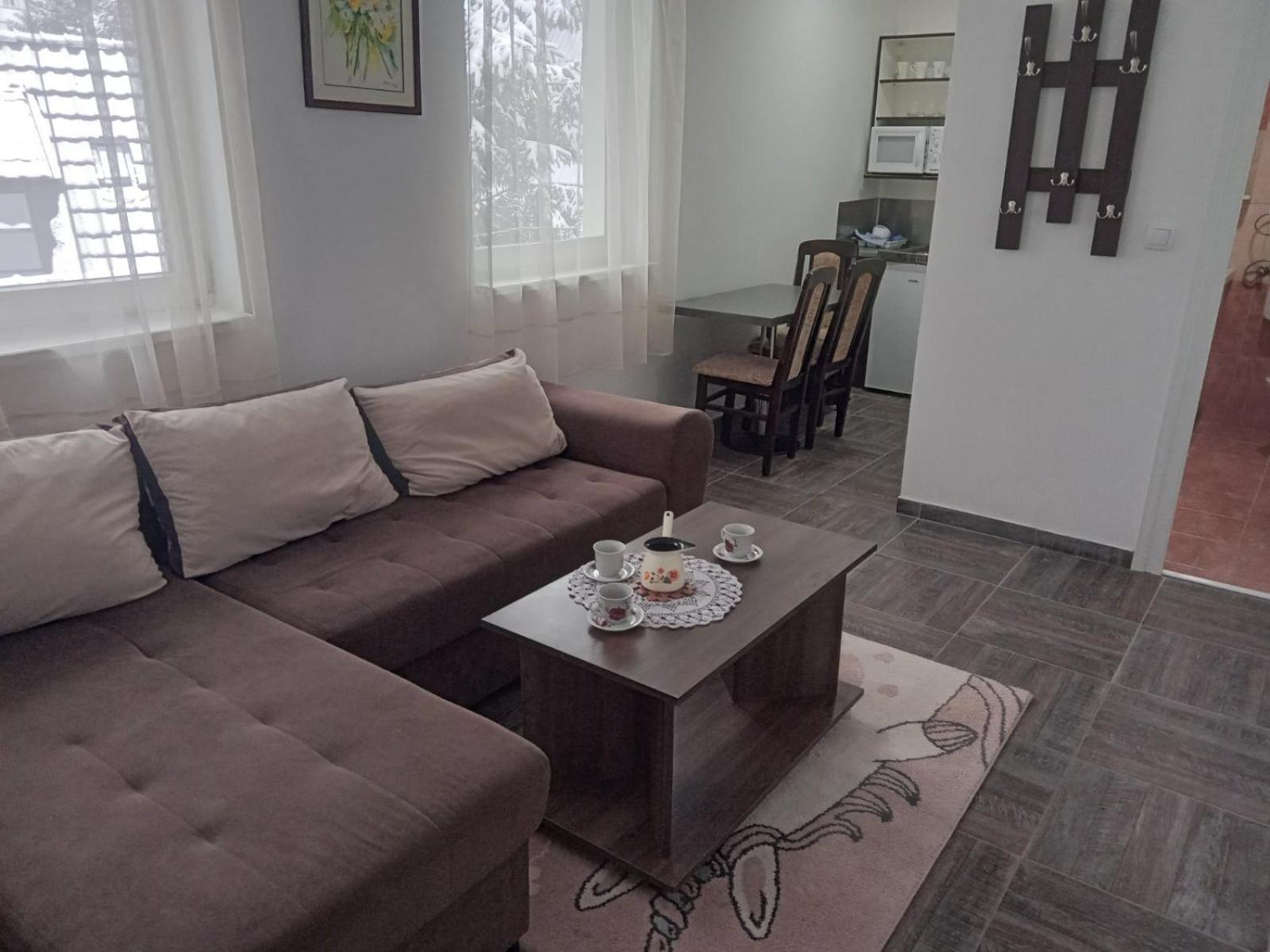 Vila Mozart - Apartments & Studios Kopaonik Esterno foto