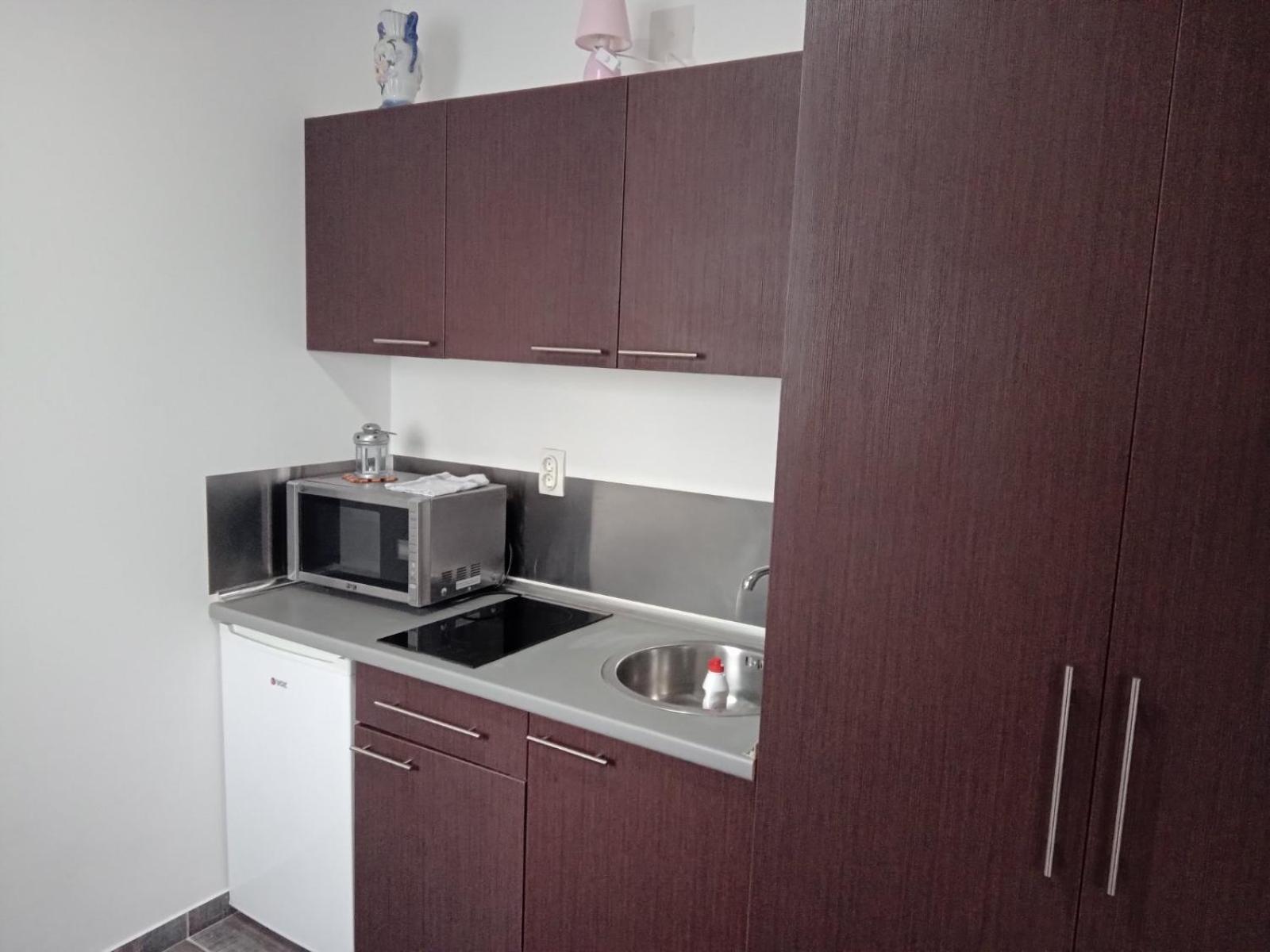 Vila Mozart - Apartments & Studios Kopaonik Esterno foto